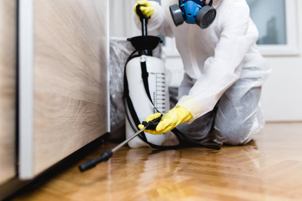 Best Wildlife Control Services  in Central, SC