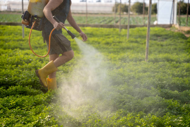 Pest Control for Restaurants in Central, SC
