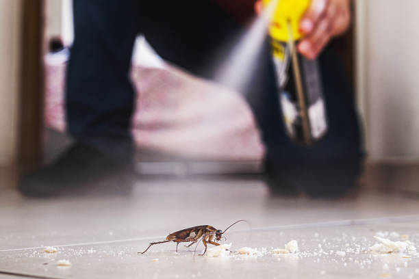 Best Exterminator Services  in Central, SC