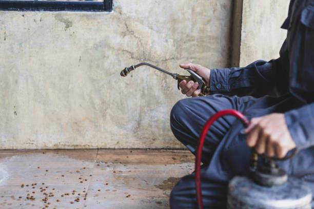 Best Pest Prevention Services  in Central, SC